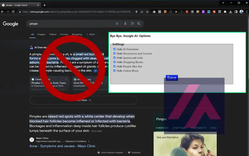Captura de pantalla de cómo se ve la extensión de Chrome para bloquear Google SGE.